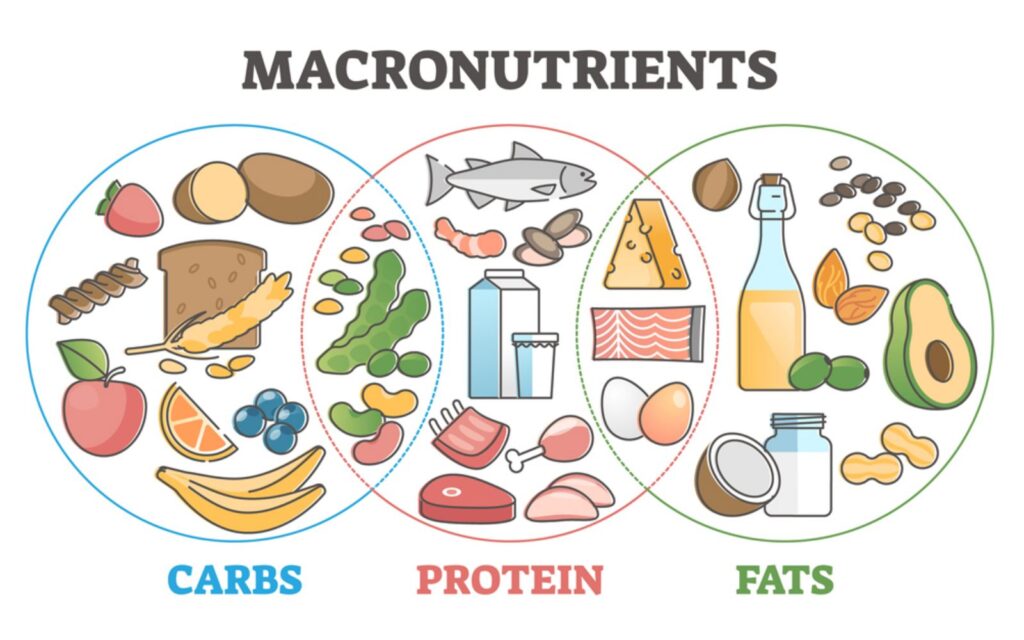 total nutrition: macronutrients.